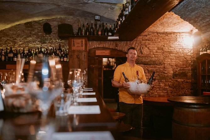 2-Hour Interactive Wine Tasting Experience in Ljubljana - How to fit it into a Ljubljana visit