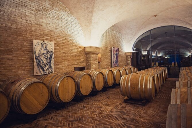 2 Hours Visit and Wine Tasting with tastings in Val D'Orcia - What the private format adds