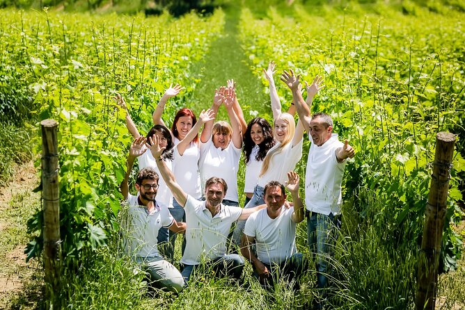 2 Hours Visit and Wine Tasting with tastings in Val D'Orcia - Is $84.10 a fair price?