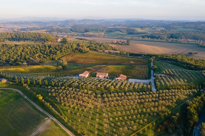 2 Hours Visit and Wine Tasting with tastings in Val D'Orcia - Who will enjoy this two-hour visit?