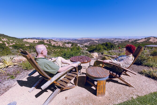 3-Winery Paso Robles Tour with Picnic Lunch & Tasting Fees - Why this five-hour Paso Robles tour works