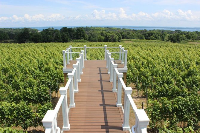5-Hour Traverse City Wine Tour: 4 Wineries on Old Mission Peninsula - Winery changes and the fine print that matters