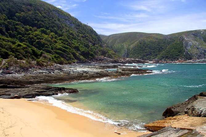7 Day Garden Route to Addo, Cape Point and Winelands Combo tour - Day 6: Three estates and up to 15 wine tastings
