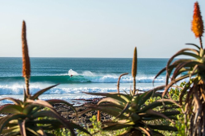 7 Day Garden Route to Addo, Cape Point and Winelands Combo tour - Guides, groups and accommodation choices
