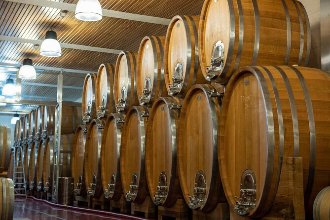 A delightful wine tasting in the scenic countryside with lunch - Why this wine tour is different from a Prague tasting