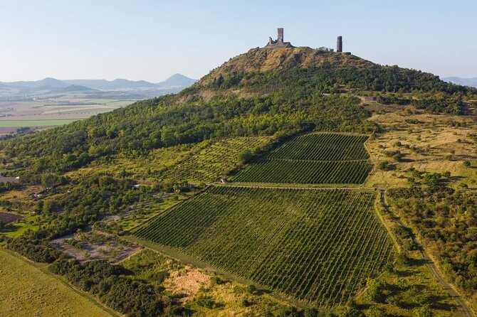 A delightful wine tasting in the scenic countryside with lunch - Johann W Winery and the Czech wine lesson