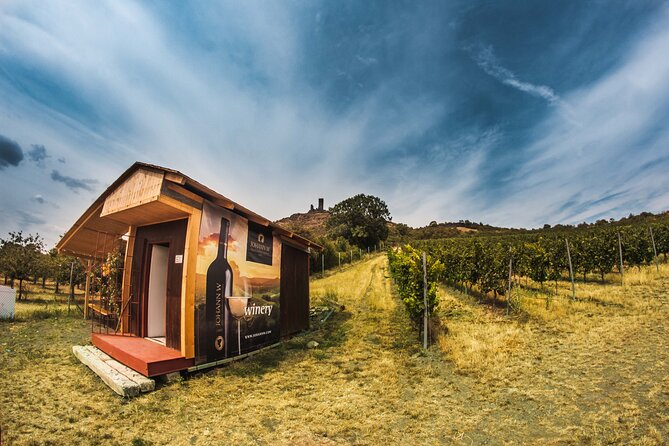 A delightful wine tasting in the scenic countryside with lunch - Who will enjoy this outing most?
