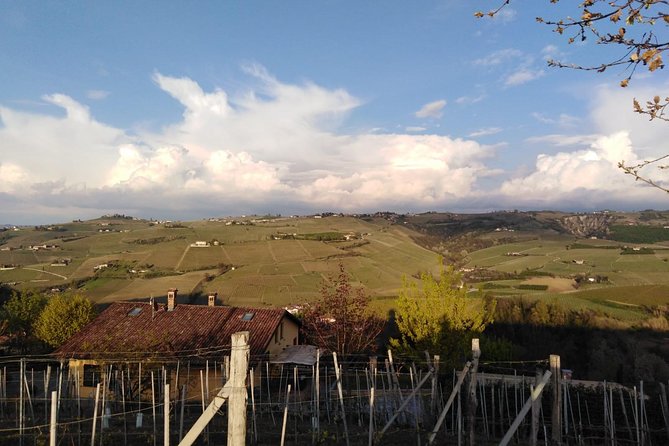 Abellonio Cascina Piccaluga - visit to the vineyards, to the wine tasting cellar - Key points to know before you book