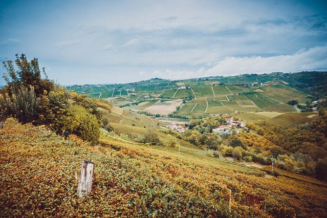 Abellonio Cascina Piccaluga - visit to the vineyards, to the wine tasting cellar - What the wines add to the experience