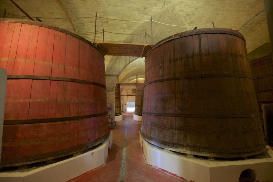 Abruzzo: Historic Cellar Wine Tour and Tasting - Inside the cellar and the largest barrel in Europe