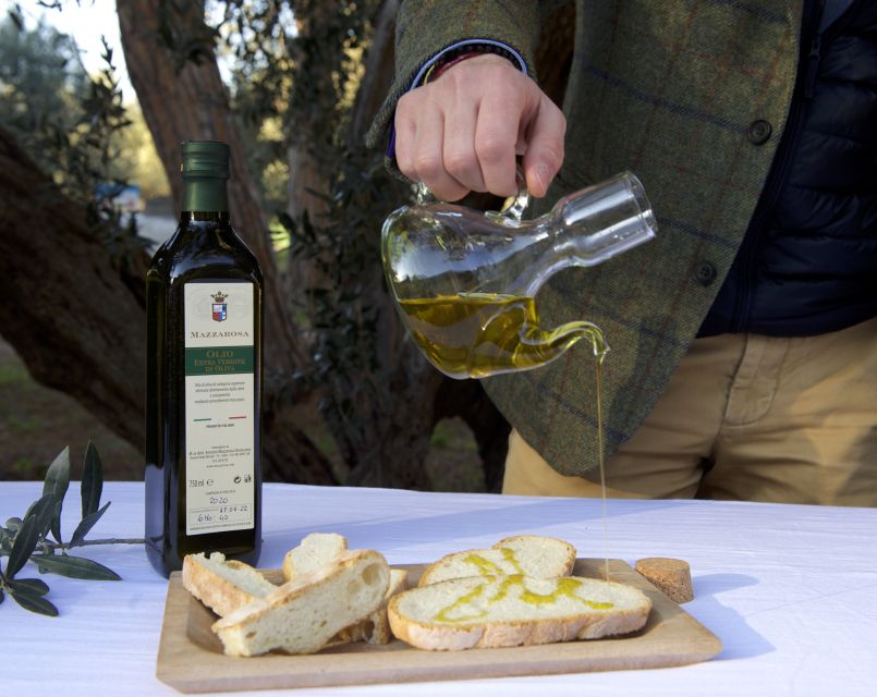 Abruzzo: Historic Cellar Wine Tour and Tasting - Five wines that represent Abruzzo