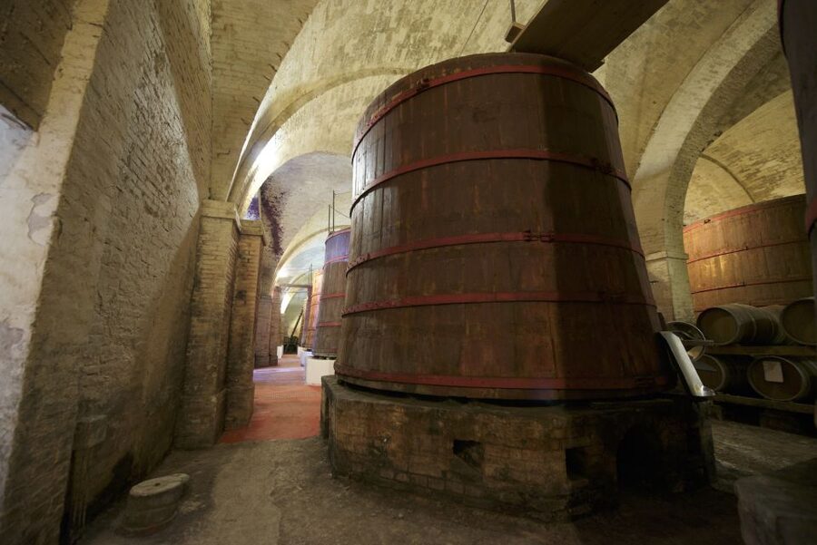 Abruzzo: Historic Cellar Wine Tour and Tasting - Who should book this experience