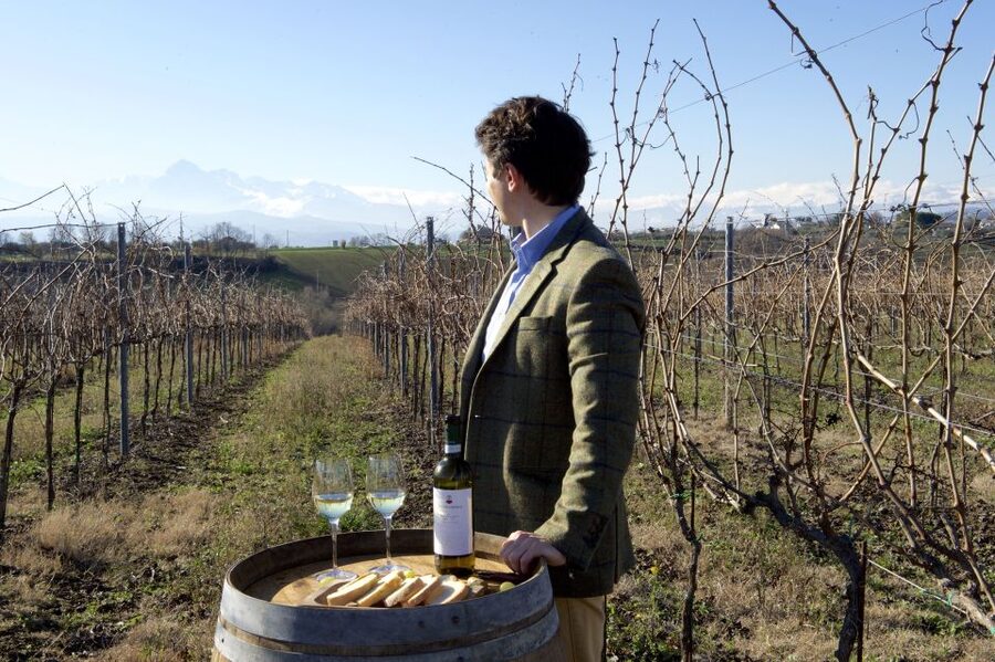 Abruzzo: Historic Cellar Wine Tour and Tasting - Starting with vineyards and olive groves