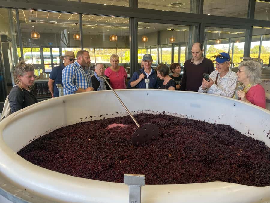 Adelaide: Barossa Premium Wine Tasting tour & Winery Lunch - What the $126 price delivers