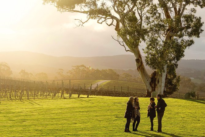 Adelaide Hills & Hahndorf Hop-On Hop-Off Wine Tour - Key points to know before you book