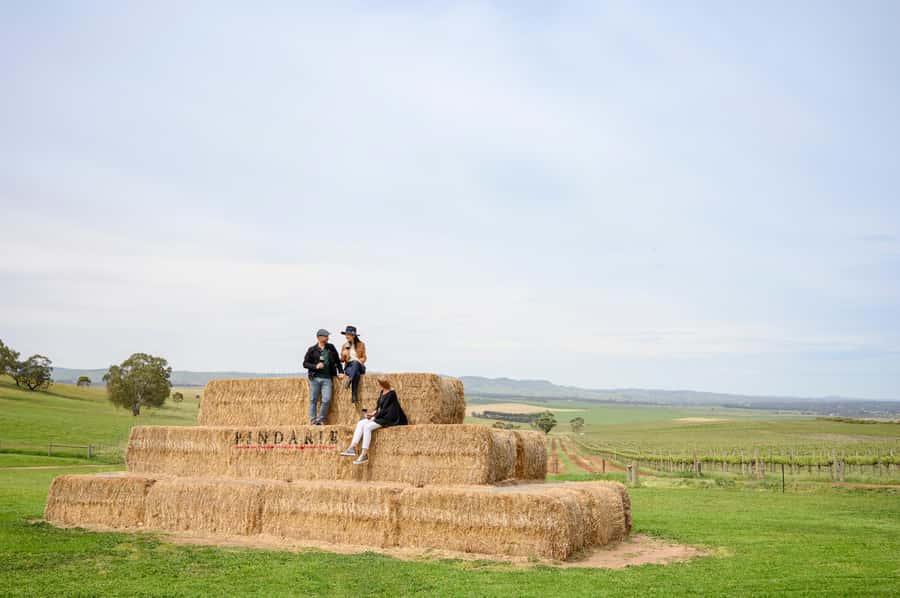 Adelaide: Small Group Tour of Barossa, Wineries with Lunch - Why this Barossa day works well