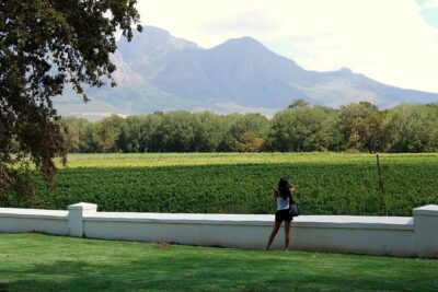 African Story Wine Tours in the Cape Winelands
