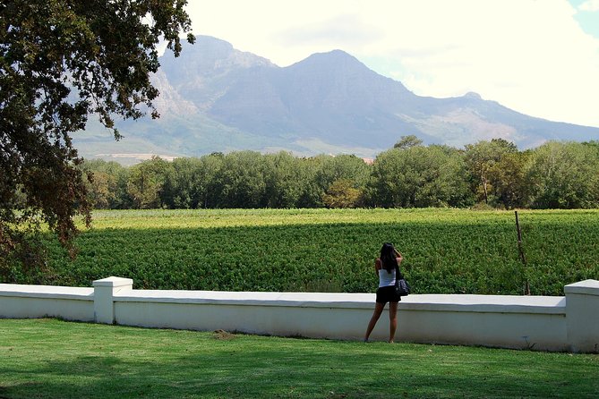African Story Wine Tours in the Cape Winelands - Lunch at Le Pommier Is More Than a Snack Stop