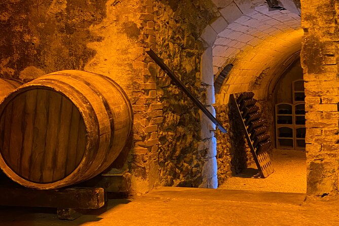 Afternoon Champagne visit & tasting class near Epernay - The tasting class: three wines, useful skills