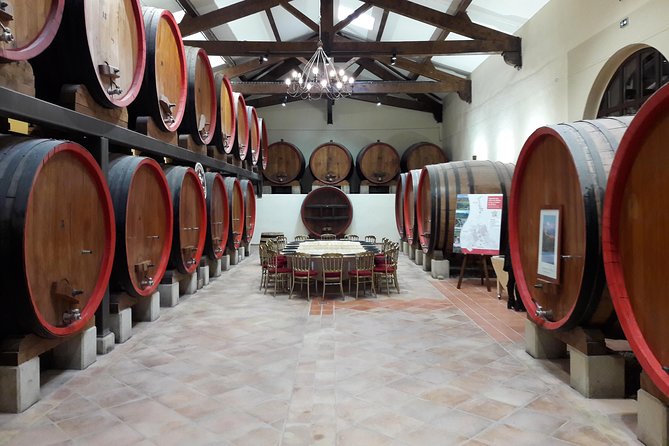 Afternoon Wine Tour to Chateauneuf du Pape from Avignon - How much wine, food, and shopping to expect