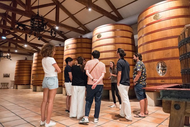 Afternoon Wine Tour to Chateauneuf du Pape from Avignon - Who will get the most from this half-day outing