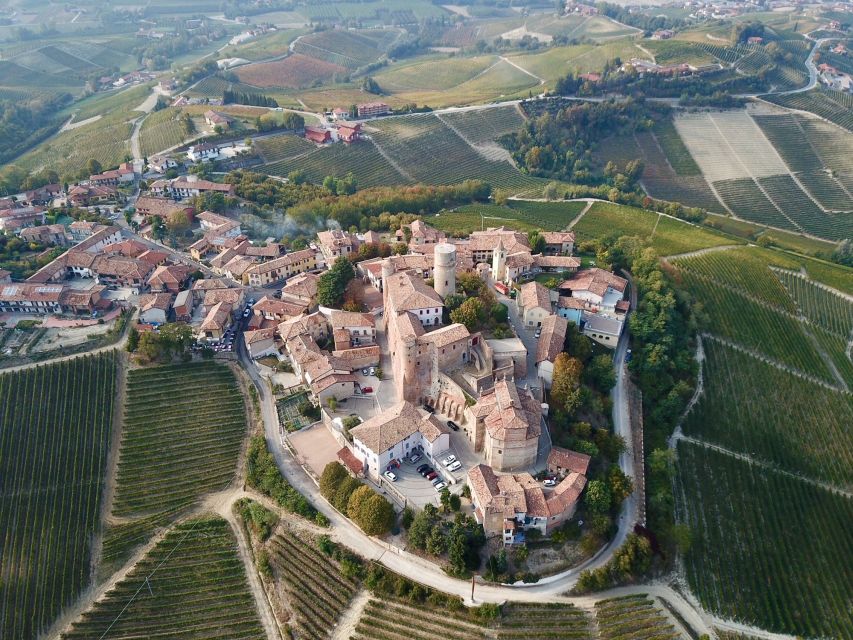 Alba: Truffle Hunting with Cheese, Truffle, & Wine Tastings - Elio, the dogs, and the work behind each find