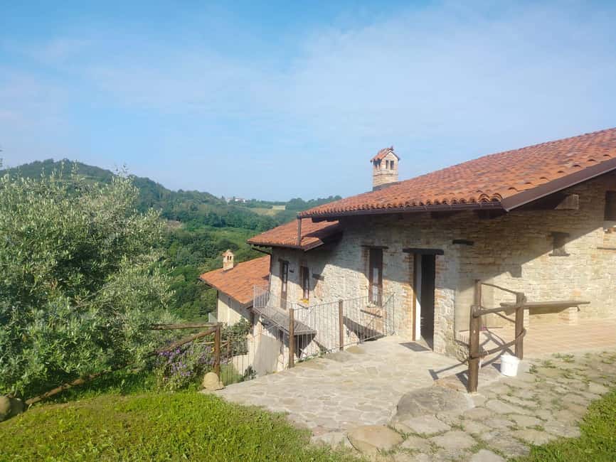 Alba: Truffle Hunting with Cheese, Truffle, & Wine Tastings - Should you book it?