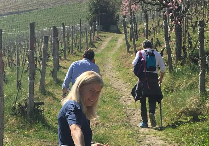 Alba: Wine Tasting and Tour with a Local Producer - Key points at a glance