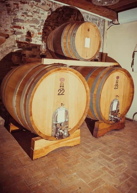 Alba: Wine Tasting and Tour with a Local Producer - Why this Alba wine visit feels different