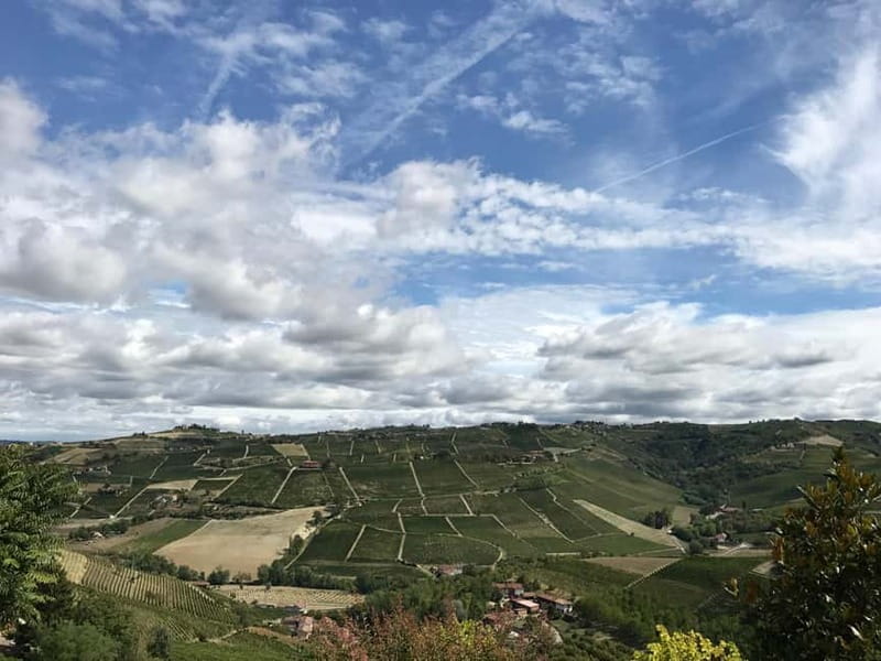 Alba: Wine Tasting and Tour with a Local Producer - The hilltop view over Piedmont’s vineyards