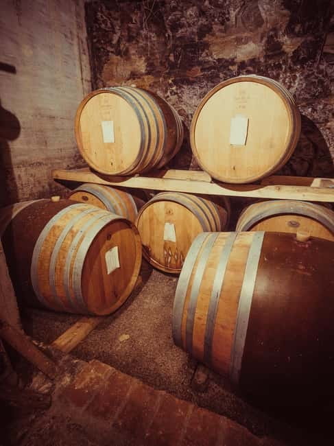 Alba: Wine Tasting and Tour with a Local Producer - Tasting six wines with Barbaresco and local food