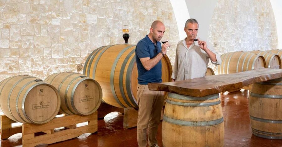 Alberobello: Winery Tour with Wine and Food Tasting - Key points to know before booking