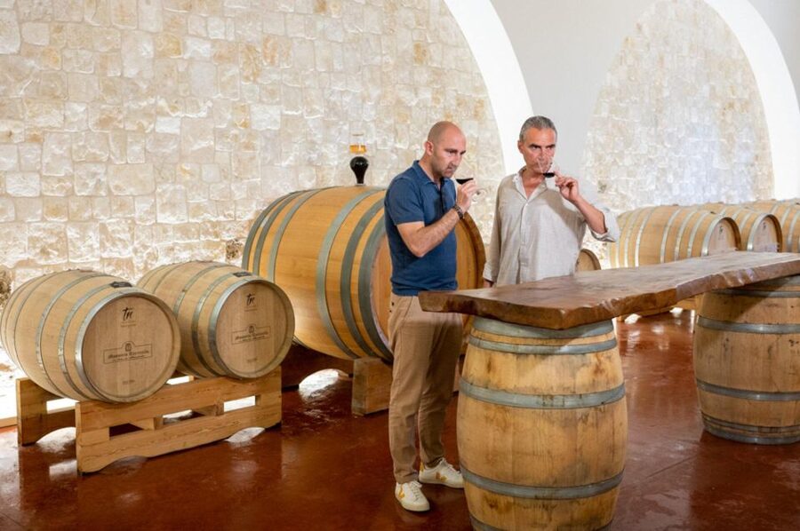 Alberobello: Winery Tour with Wine and Food Tasting - Four Apulian wines, not just one generic tasting