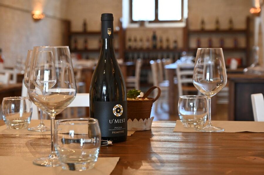 Alberobello: Winery Tour with Wine and Food Tasting - Is $65 a fair price?