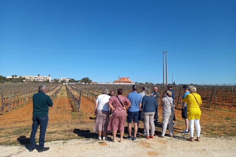 Albufeira/Vilamoura: Winery Tour with Wine Tasting and Tapas - Who should book this experience