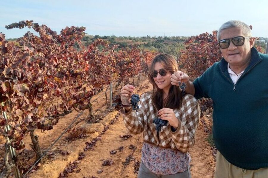 Albufeira/Vilamoura: Winery Tour with Wine Tasting and Tapas - Pickup in Albufeira or Vilamoura