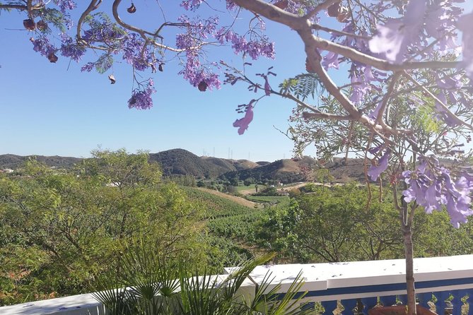 Albufeira Wine Tasting: Boutique Winery Tour & Historic Silves - The guides shape the experience