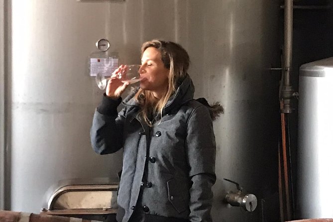 Albufeira Wine Tasting: Boutique Winery Tour & Historic Silves - Who will enjoy this tour most