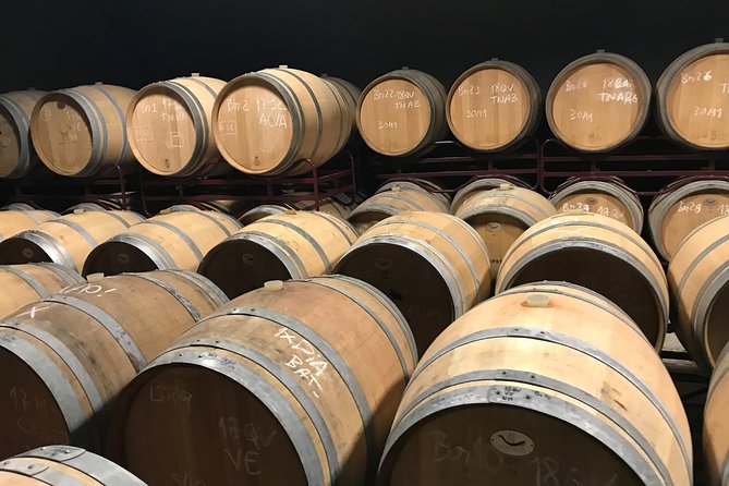 Albufeira Wine Tour: 2 Vineyards, 6 Tastings & Historic Silves - Who will enjoy this Algarve wine tour?
