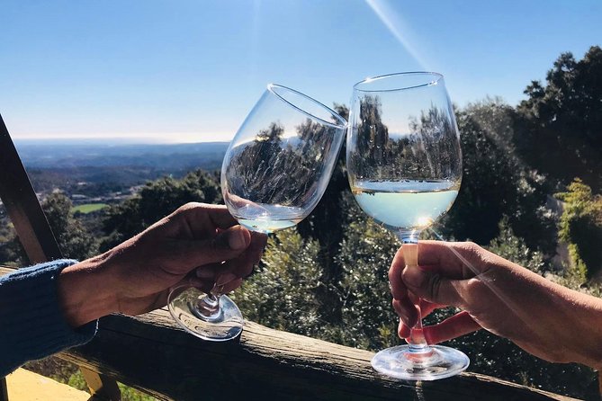 Albufeira Wine Tour: 2 Vineyards, 6 Tastings & Historic Silves - Should you book this tour?