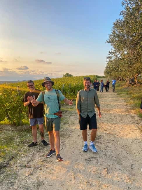 Alcamo: Natural Wine & Olive Oil Tasting - Sicily - Key points to know before booking