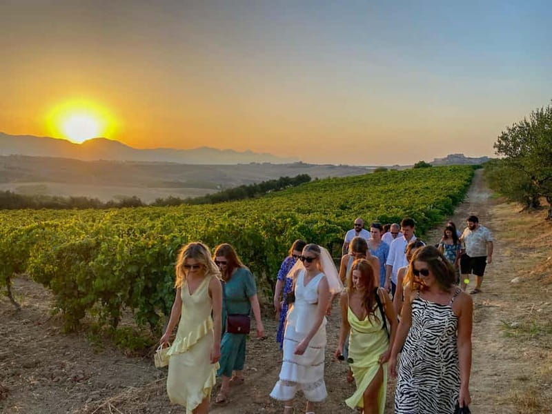 Alcamo: Natural Wine & Olive Oil Tasting - Sicily - A close look at the apiary and honey