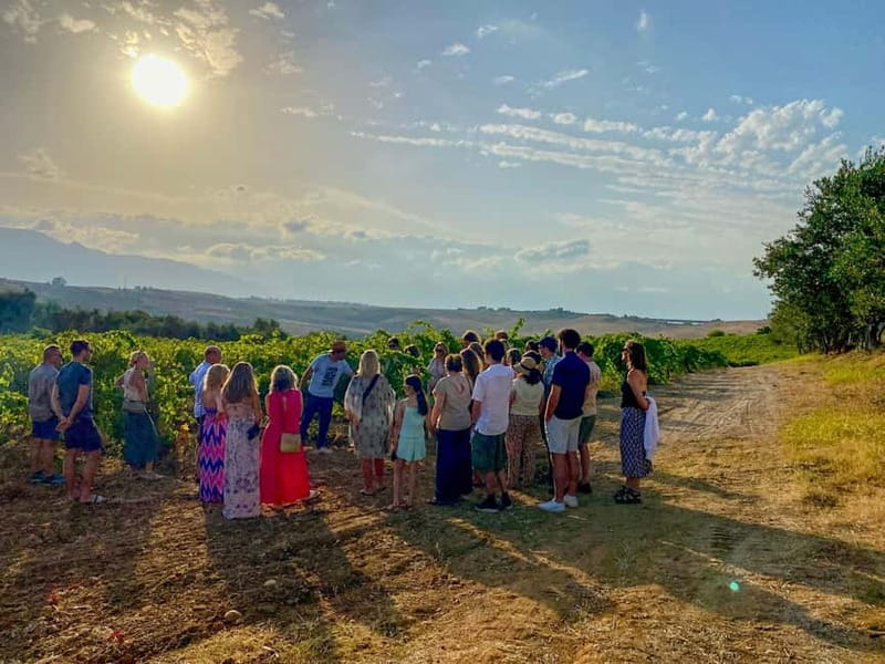 Alcamo: Natural Wine & Olive Oil Tasting - Sicily - Sicilian food on the tasting table