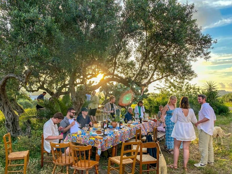 Alcamo: Natural Wine & Olive Oil Tasting - Sicily - Walking among vines and olive trees