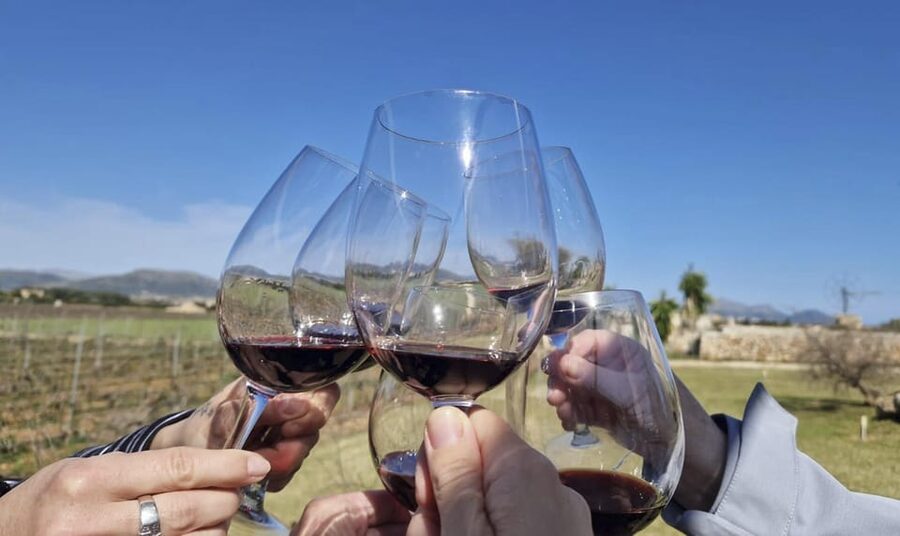 Alcúdia/Can Picafort: Guided Vineyard Visit and Wine Tasting - Key points to know before booking