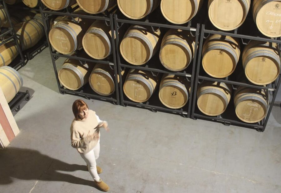 Alcúdia/Can Picafort: Guided Vineyard Visit and Wine Tasting - Booking details that matter