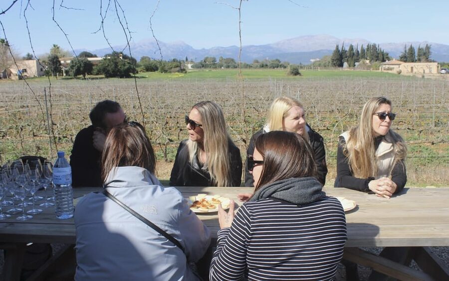 Alcúdia/Can Picafort: Guided Vineyard Visit and Wine Tasting - From traditional barrels to modern production
