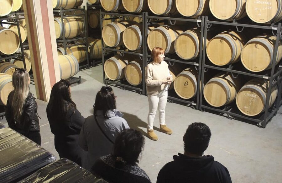 Alcúdia/Can Picafort: Guided Vineyard Visit and Wine Tasting - Who will enjoy this wine tour most