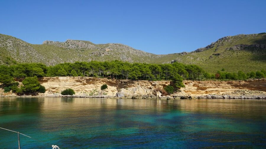 Alcudia: Sailing Yacht Excursion with Wine & Tapas - Who will enjoy this yacht trip most?