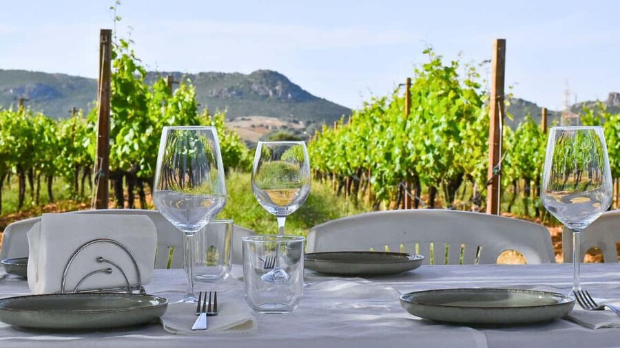 Alghero: Dinner in the Vineyard with Wine - A vineyard evening outside Alghero
